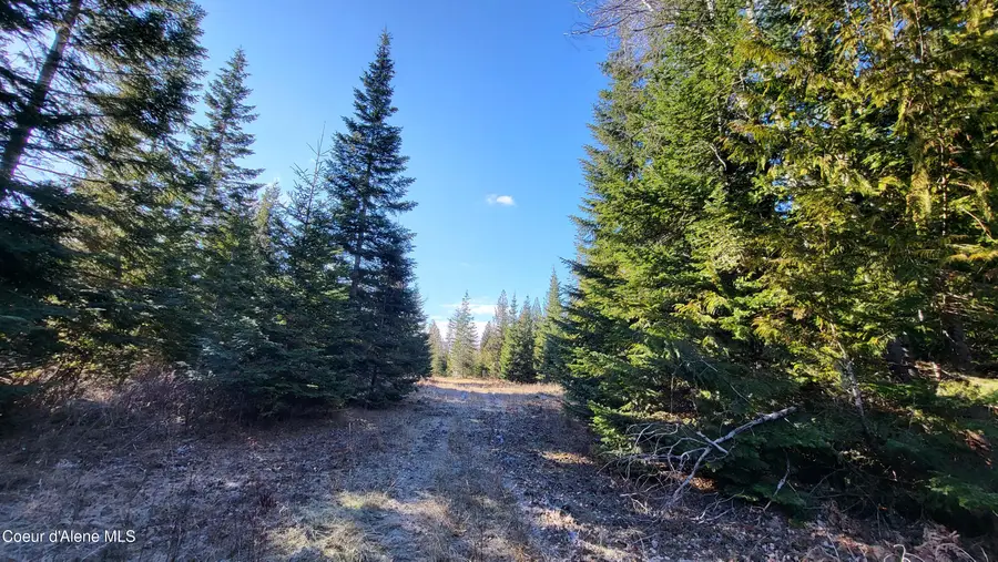 7380 E Bell Canyon Rd, Harrison, ID 83833 - Image #3