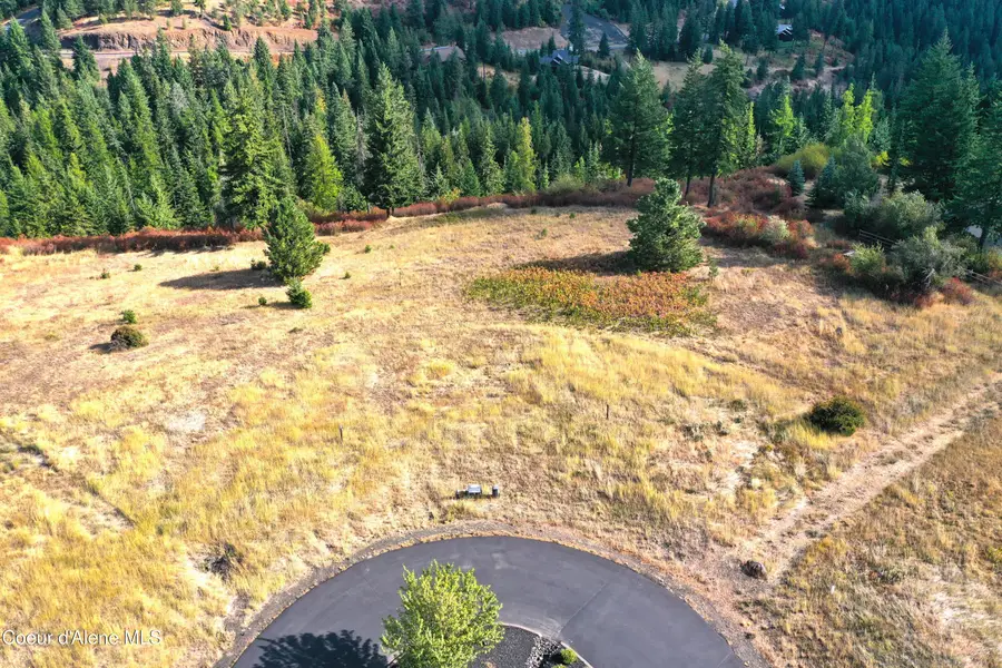 L263 S Magma Ln, Coeur Dalene, ID 83814 - #3