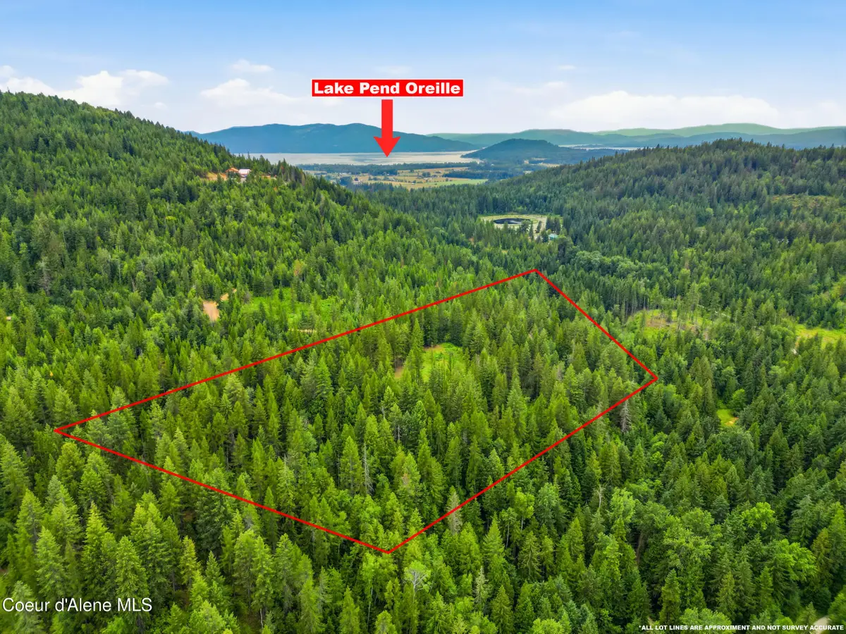 217 Whodathunkit RD, Sandpoint, ID 83864 - #1