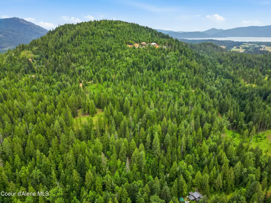217 Whodathunkit RD, Sandpoint, ID 83864 - #3