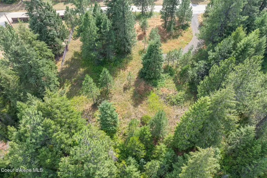NKA E Forest View Rd, Athol, ID 83801 - #2
