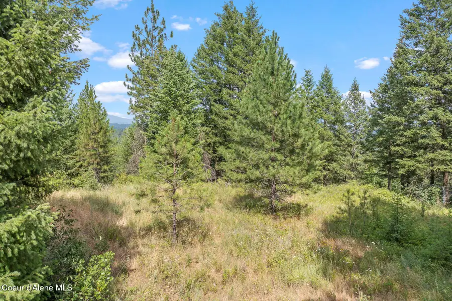 NKA E Forest View Rd, Athol, ID 83801 - #3