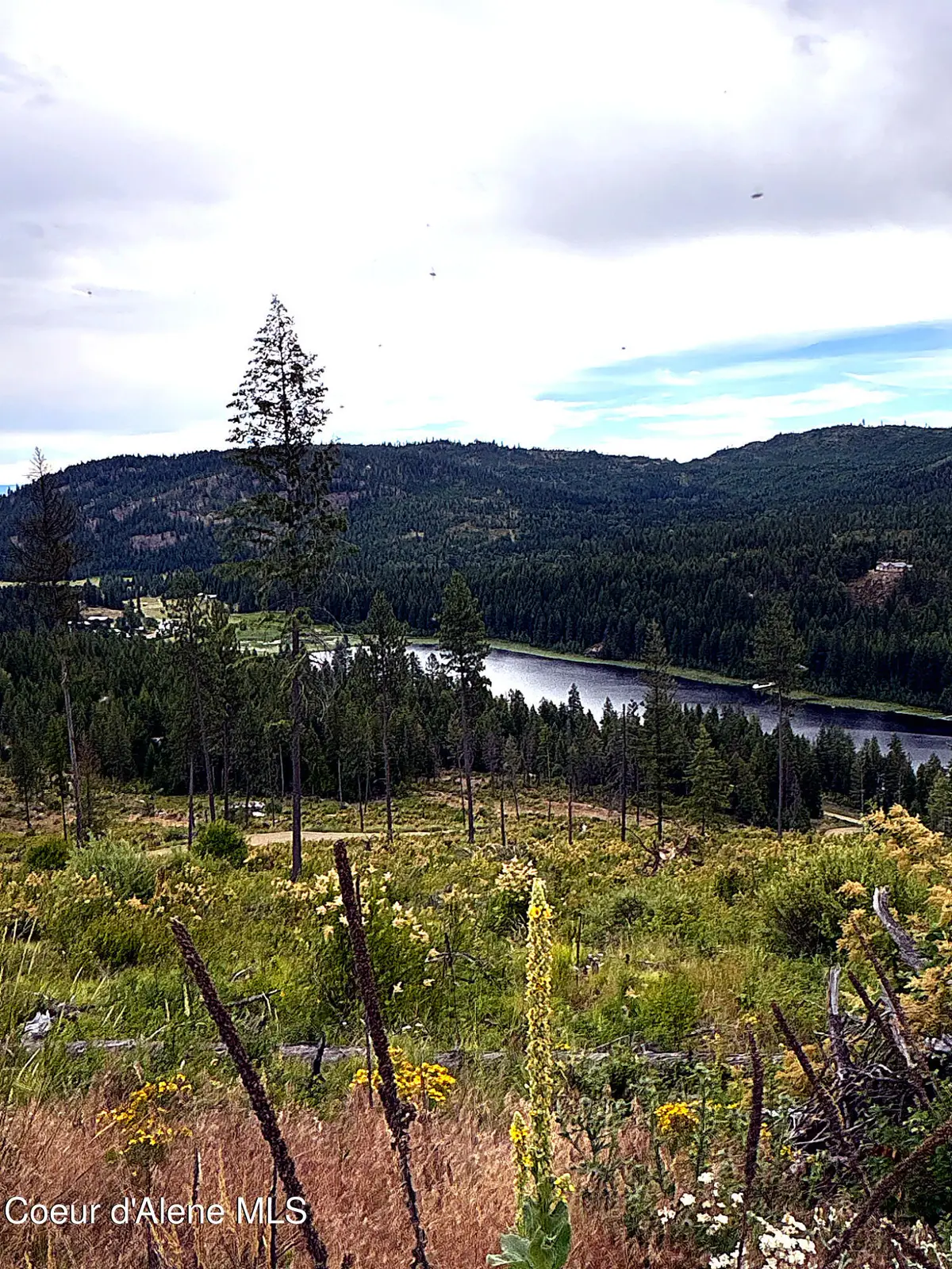 Lot 2 Dollar Creek Dr, Sagle, ID 83860 - #1