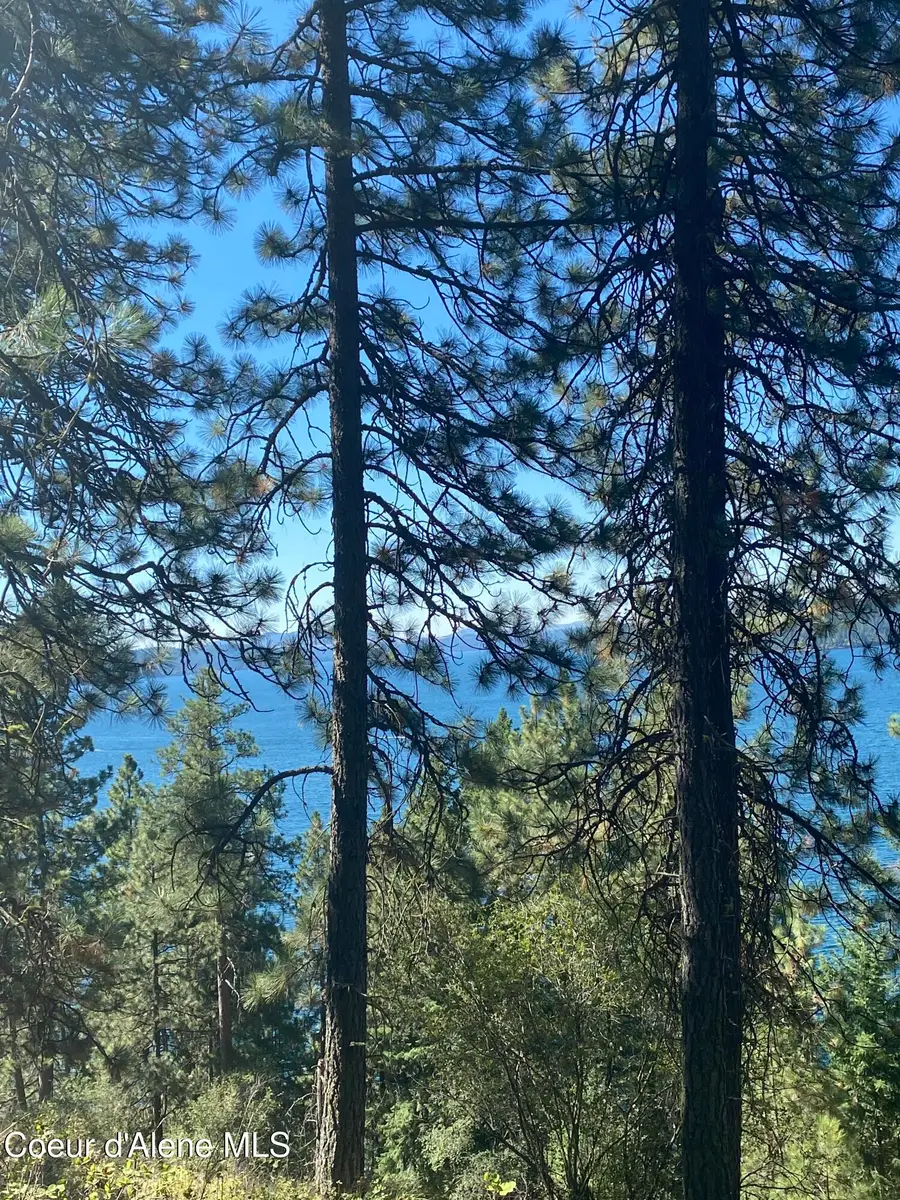 0000NKA E Driftwood Heights Dr, Harrison, ID 83833 - Image #2