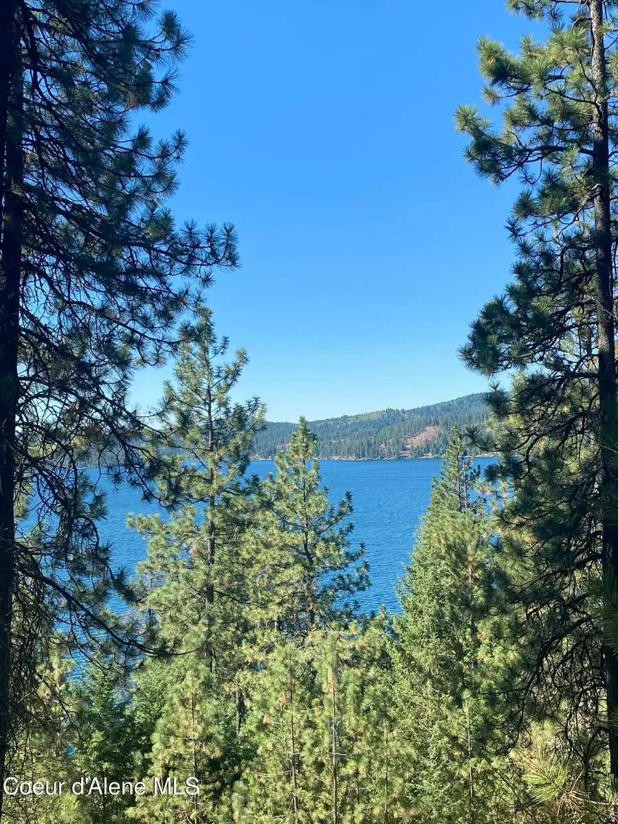 0000NKA E Driftwood Heights Dr, Harrison, ID 83833 - Image #3