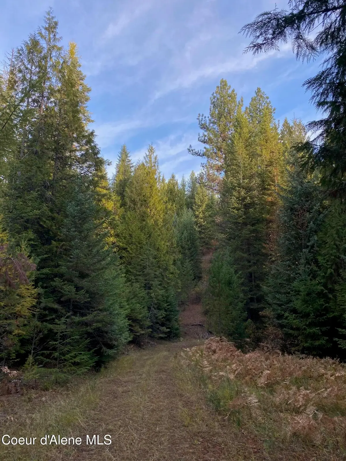 Lots 2 & 3 Flat Creek Road, Saint Maries, ID 83861 - #1