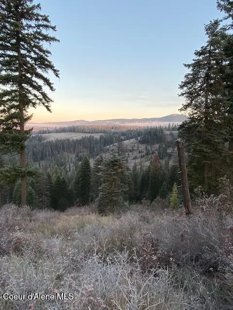 Lots 2 & 3 Flat Creek Road, Saint Maries, ID 83861 - #2