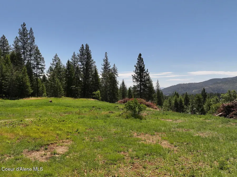 560 Terry TRL, Priest River, ID 83856 - #3