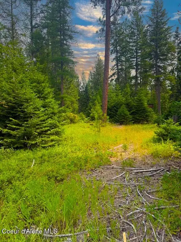 NNA Ginger Ln, Bonners Ferry, ID 83805