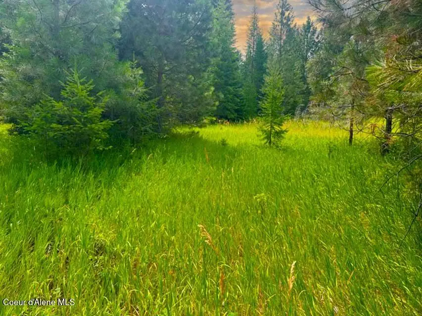 NNA Ginger Ln, Bonners Ferry, ID 83805 - #2