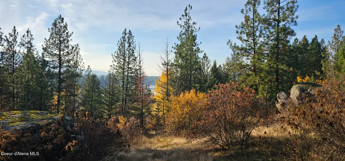 125 Tracker WAY, Priest River, ID 83856 - #1