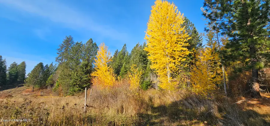 125 Tracker WAY, Priest River, ID 83856 - #3