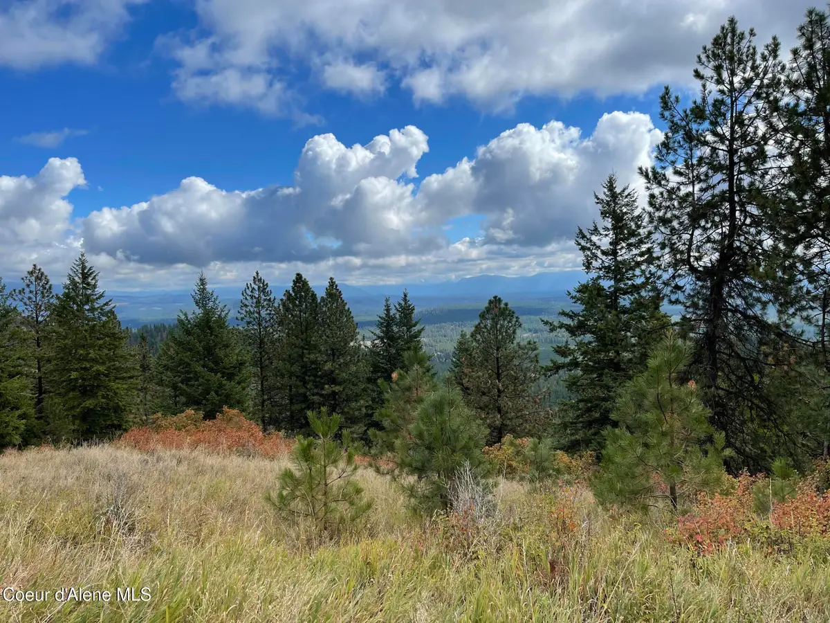 NKA Glad Lane, Spirit Lake, ID 83869 - #1