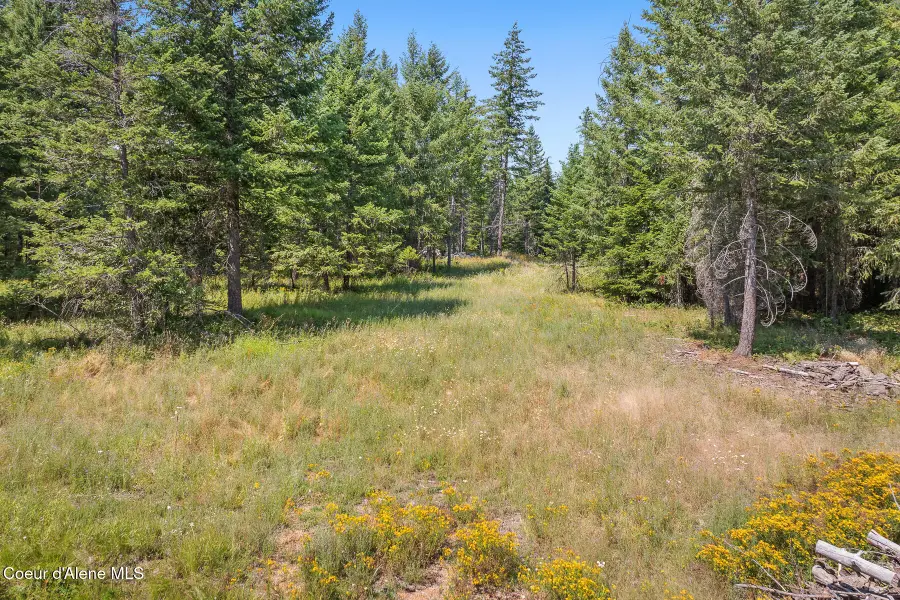 E Quarter Mile Rd, Athol, ID 83801 - #3