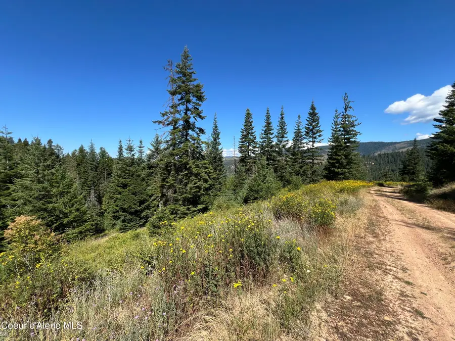 10 Kingston Way, Kingston, ID 83839 - #2