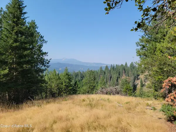Lot F Blue Star Ln, Pinehurst, ID 83850