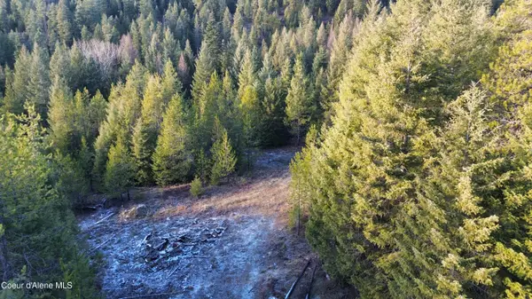 L7 B1 KELSO WOODS DR, Athol, ID 83801