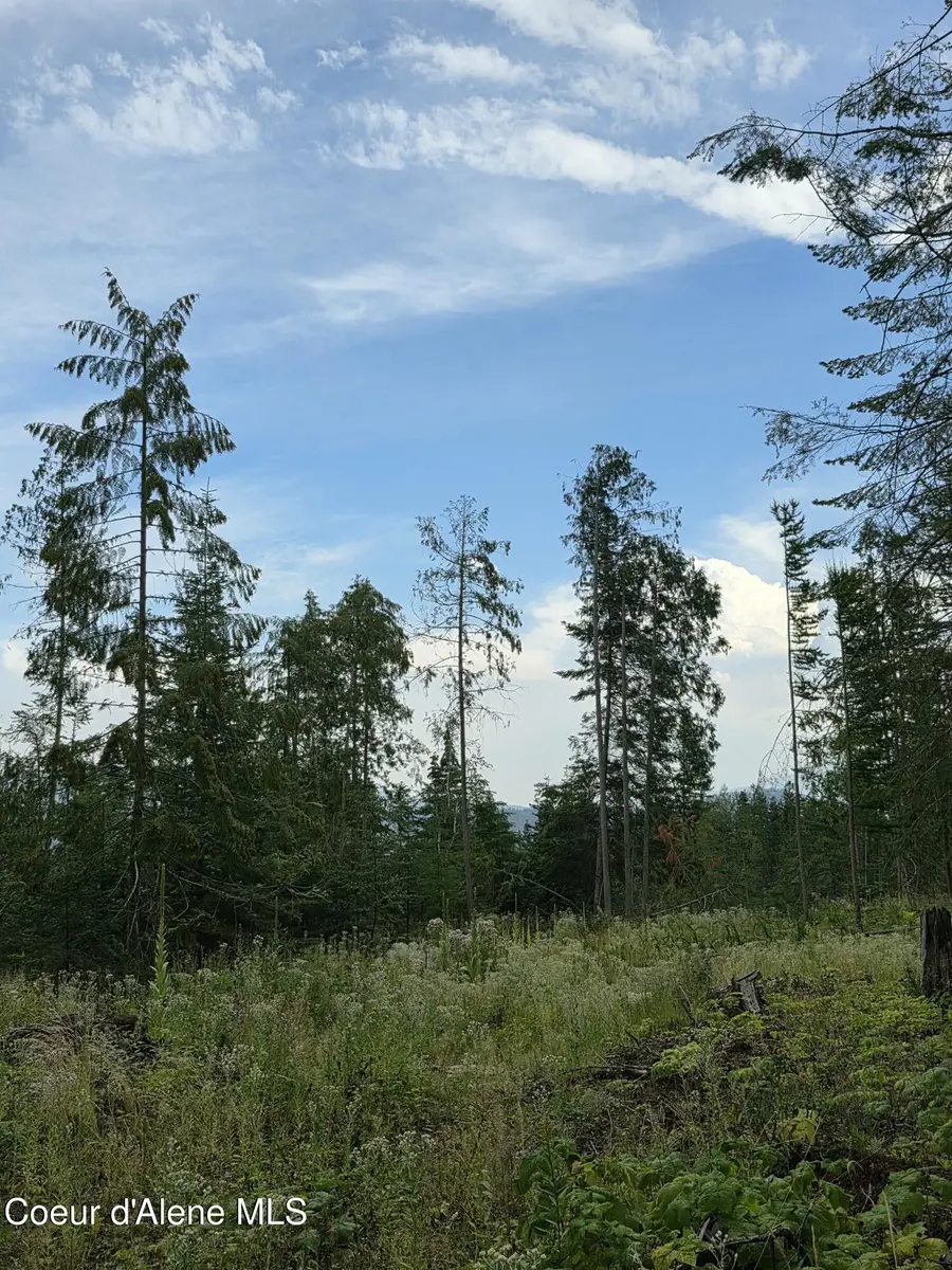 NNA WESTSIDE RD PARCEL10, Bonners Ferry, ID 83805 - #3