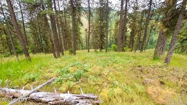 136 Heavy Grace LN, Kamiah, ID 83536 - #3
