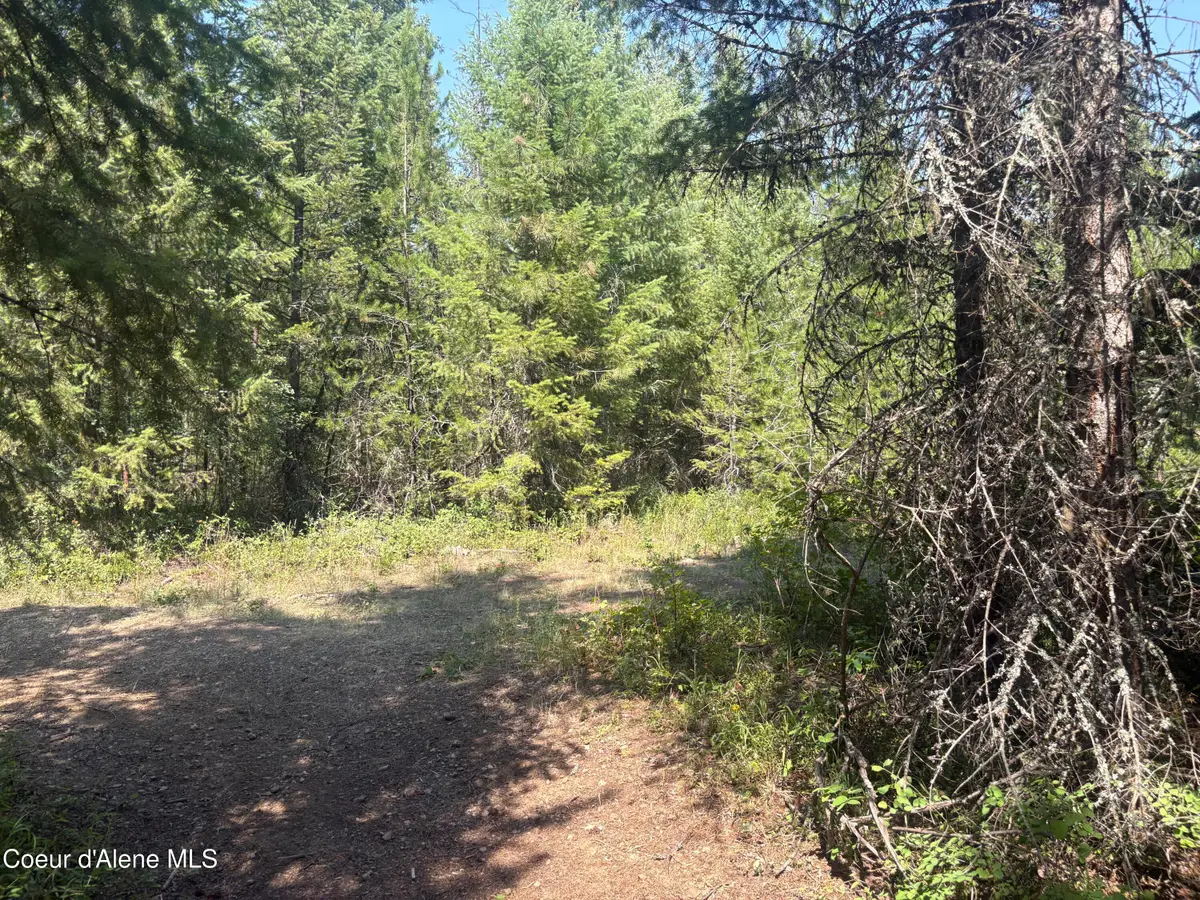 L7B130 W Vermont St, Spirit Lake, ID 83869 - #1