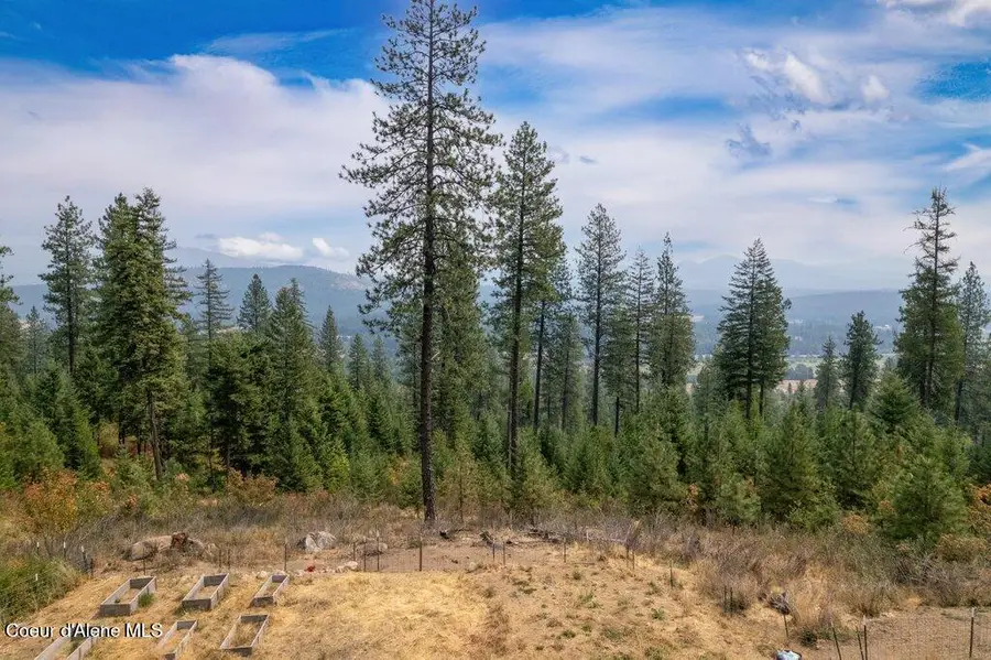 1802 Barnhart RD, Careywood, ID 83809 - #3