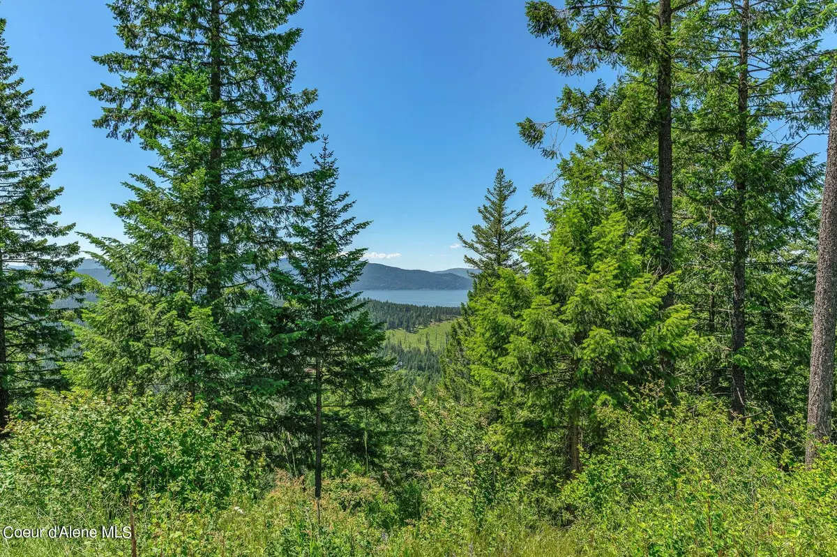 NNA T1-A Green Monarch, Sandpoint, ID 83864 - #1