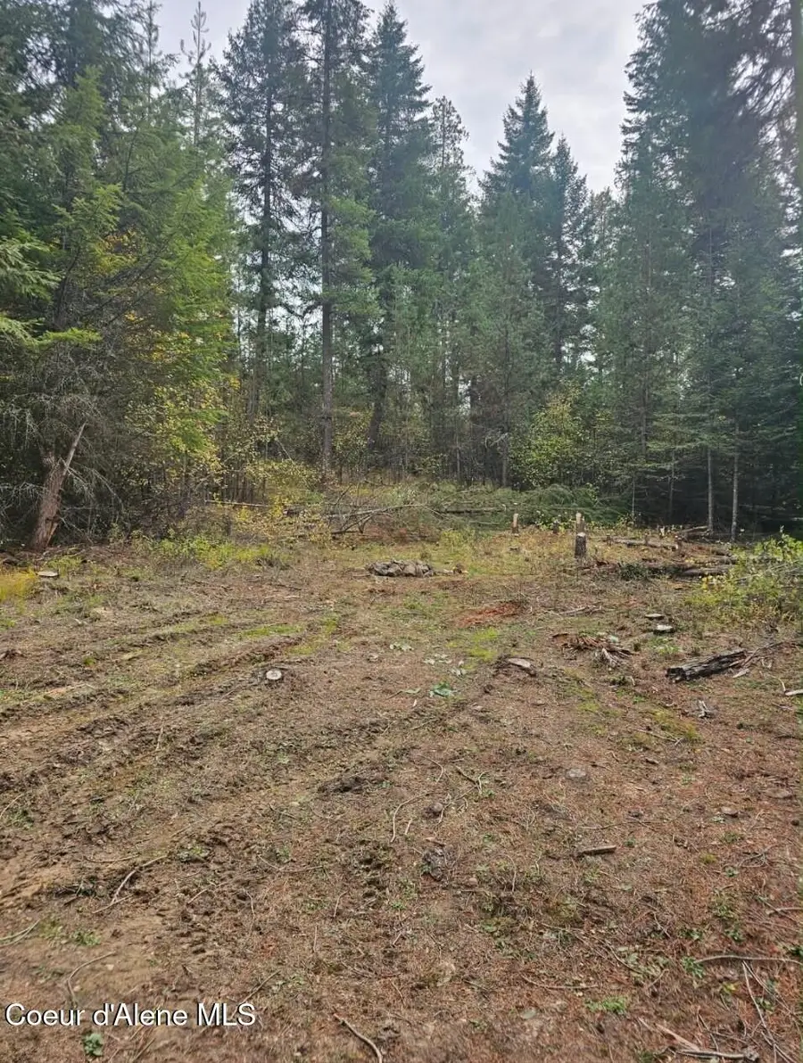 821 Willow Loop RD, Fernwood, ID 83830 - #2