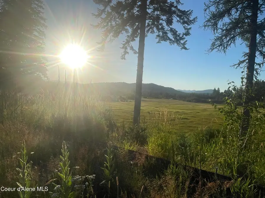1787 Mud Gulch RD, Priest River, ID 83856 - #3