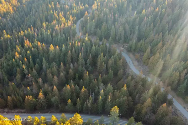 NNA Sophie Hills Lot 2, Harrison, ID 83833