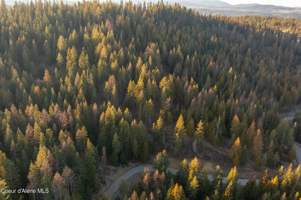 NNA Sophie Hills Lot 3, Harrison, ID 83833 - Image #1