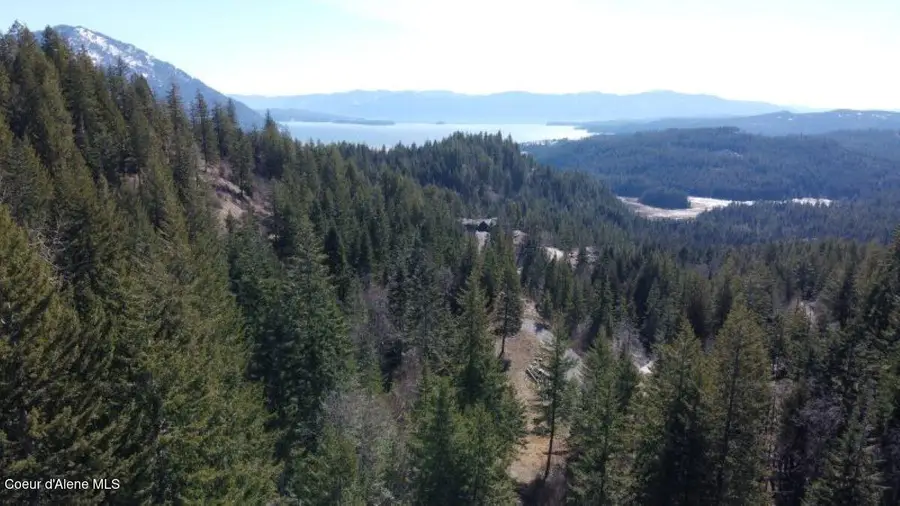 NNA Green Monarch Lane, Sandpoint, ID 83864 - #2