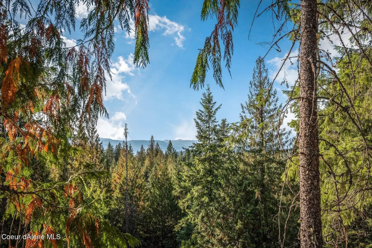 NNA C5 S Idaho Club Drive, Sandpoint, ID 83864 - #1