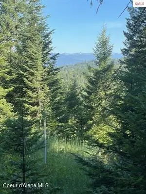 NNA C35 White Cloud Drive, Sandpoint, ID 83864