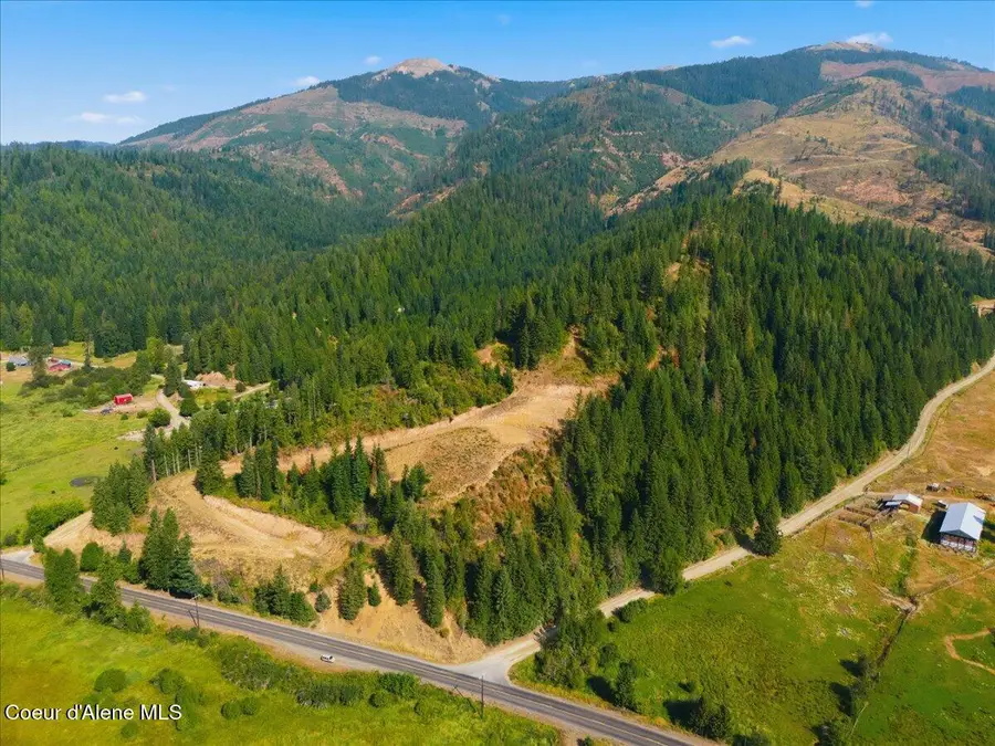 484 Ahrs Loop RD, Saint Maries, ID 83861 - #3