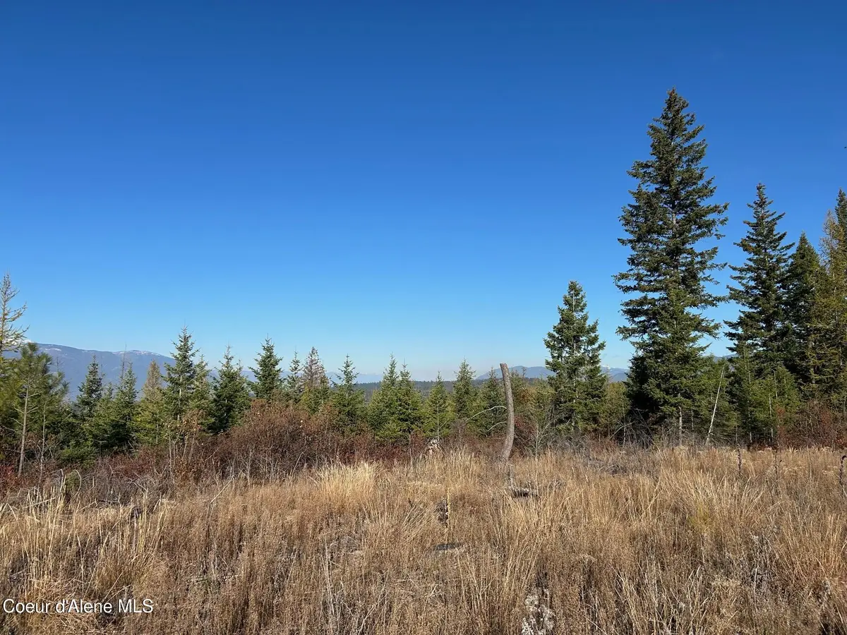Tract G USFS 2222A, Moyie Springs, ID 83845 - #1