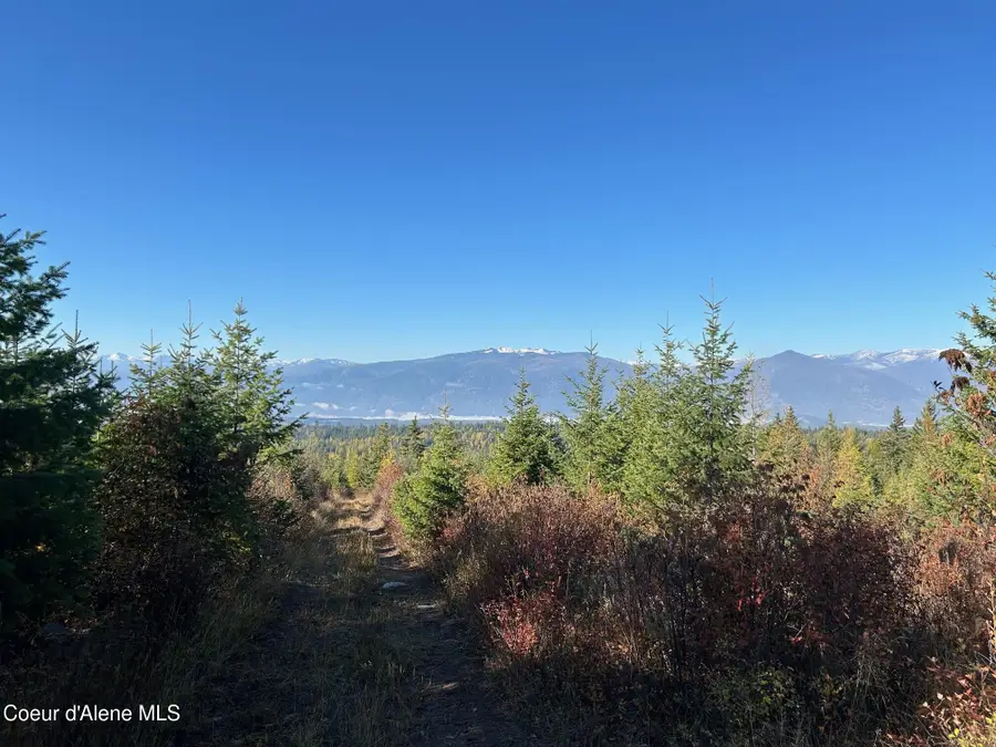 Tract G USFS 2222A, Moyie Springs, ID 83845 - #2