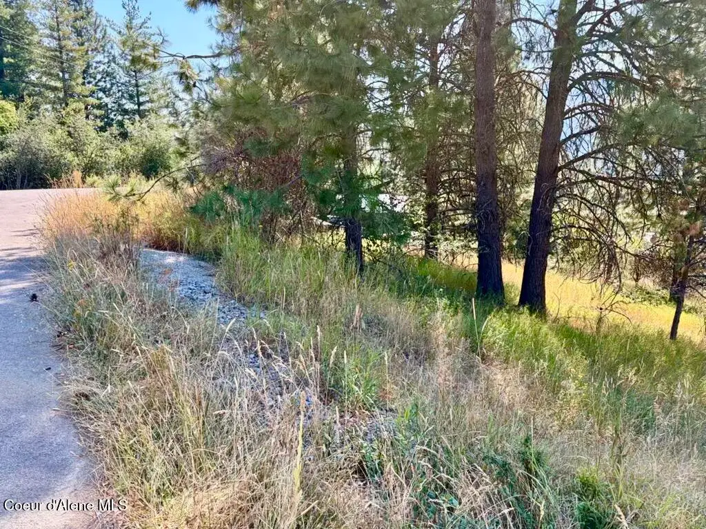 Lot 9 NKA Upper Drive, Osburn, ID 83849 - #1