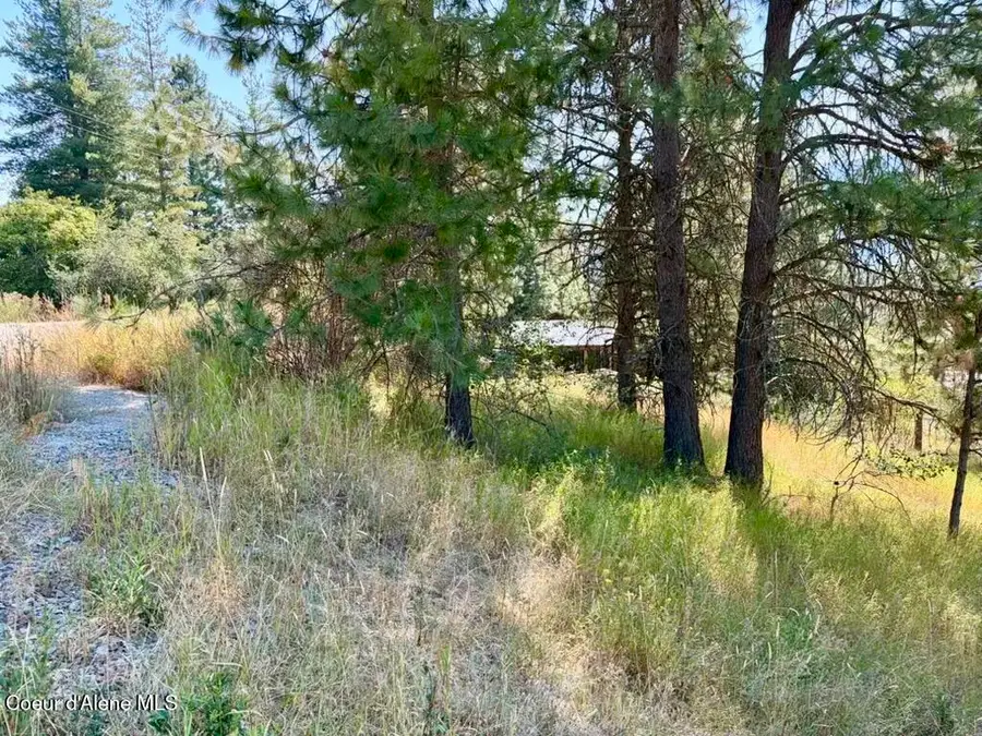 Lot 9 NKA Upper Drive, Osburn, ID 83849 - #2