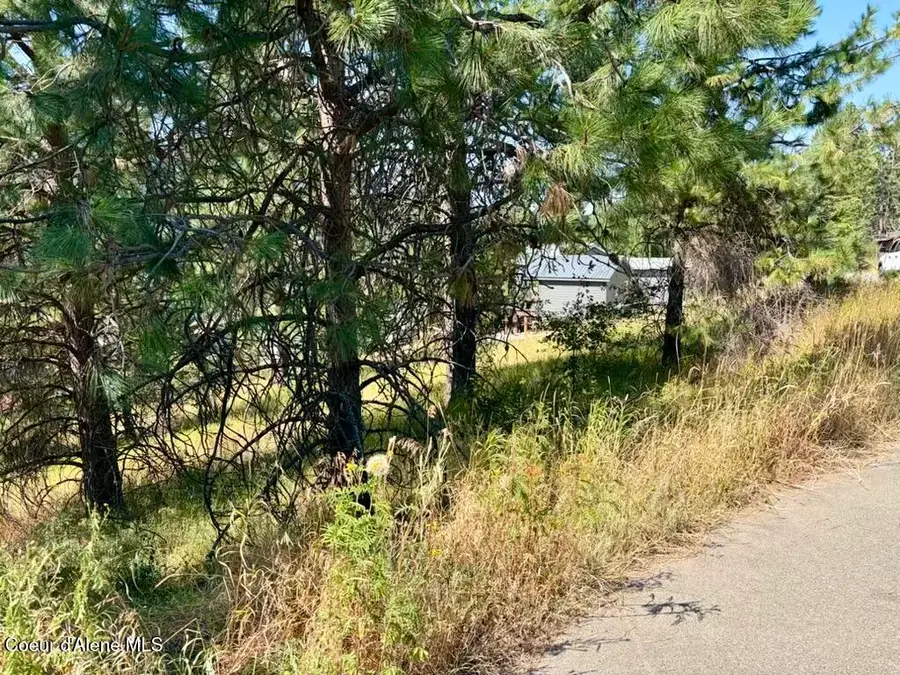 Lot 9 NKA Upper Drive, Osburn, ID 83849 - #3