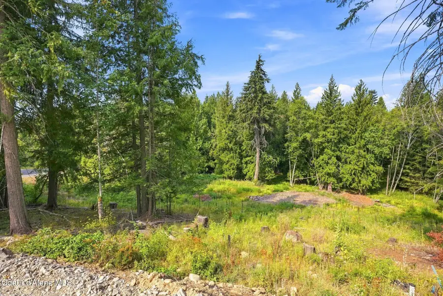 S21 Timber Grove, Sandpoint, ID 83864 - #3