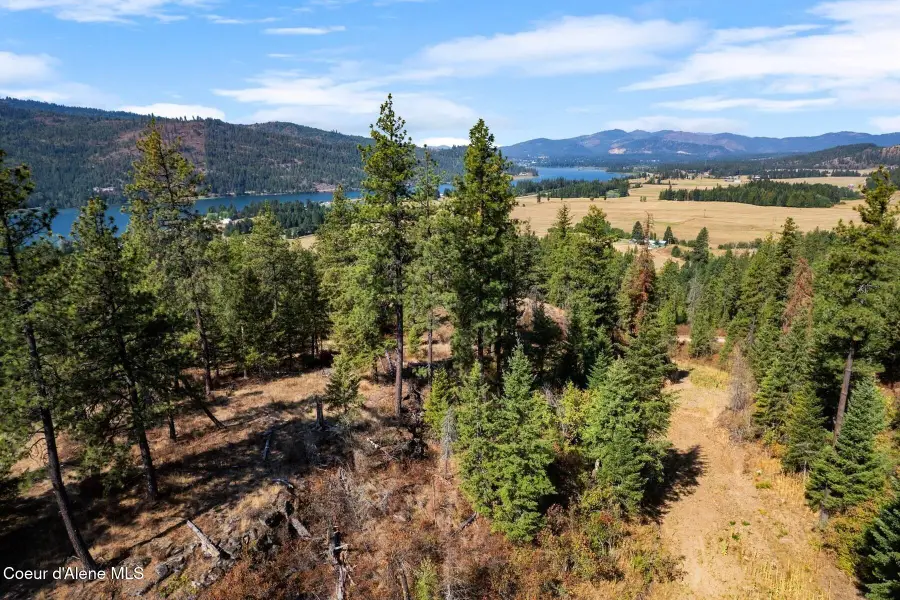 Lot 3A Moose Mountain Rd, Priest River, ID 83856 - #3