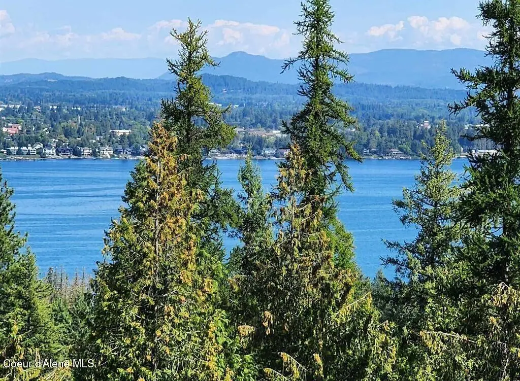Lot 3 Mountain Ridge Dr, Sagle, ID 83860 - #1
