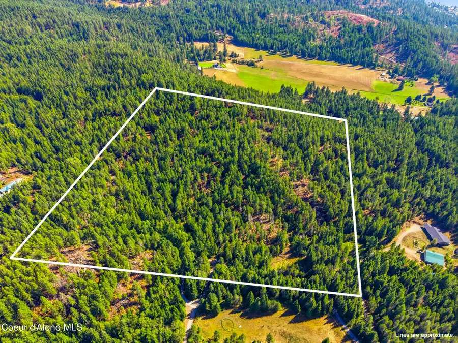 437 Wilderness Dr, Athol, ID 83801 - #2