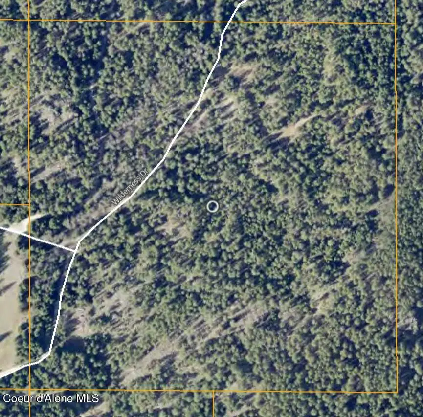 437 Wilderness Dr, Athol, ID 83801 - #3