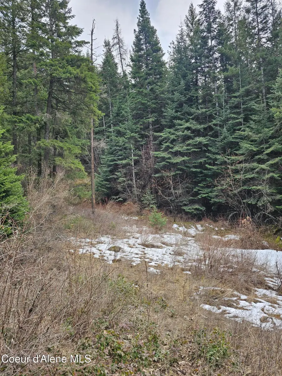 2252 E Badger Rd, Harrison, ID 83833 - #3