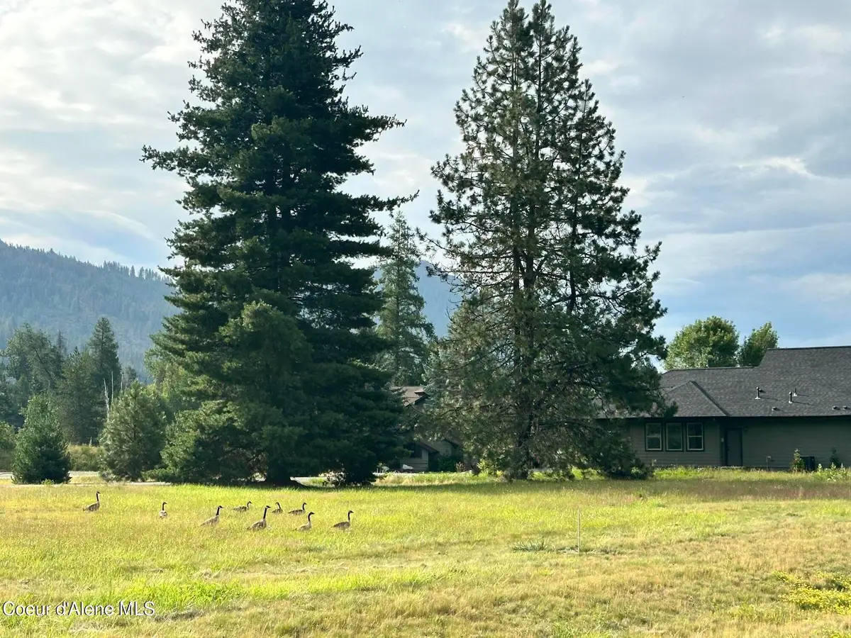 NNA Marie Victoria L12 B2 Ct, Sandpoint, ID 83864 - #1