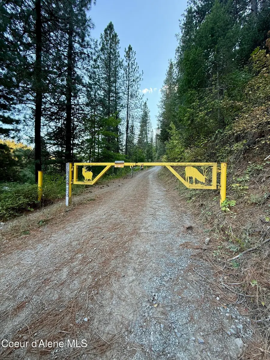 915 Terror Gulch Rd, Osburn, ID 83849 - #2