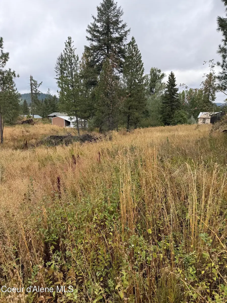 NKA F St, Plummer, ID 83851 - #3