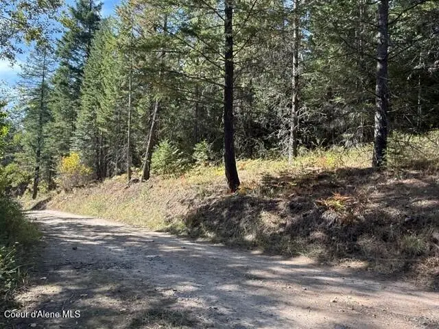 Gold Cup Mountain Rd, Priest River, ID 83856 - #1