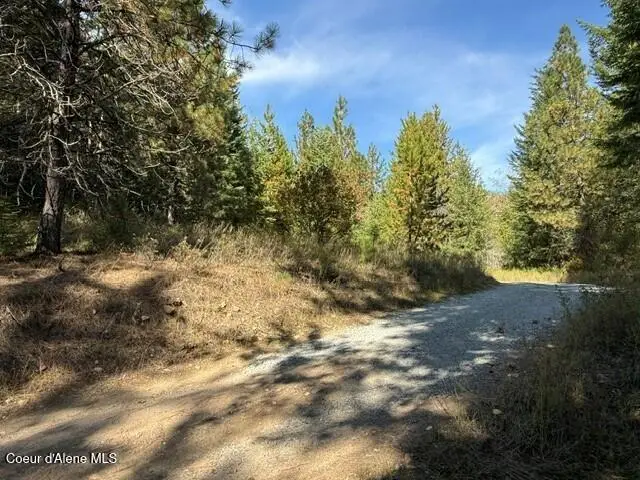 Gold Cup Mountain Rd, Priest River, ID 83856 - #2